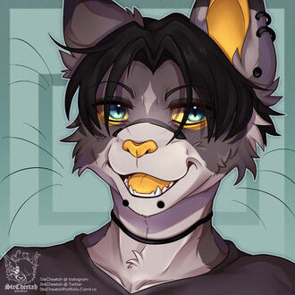 2k Twitter Raffle prize 2k Twitter Raffle prize